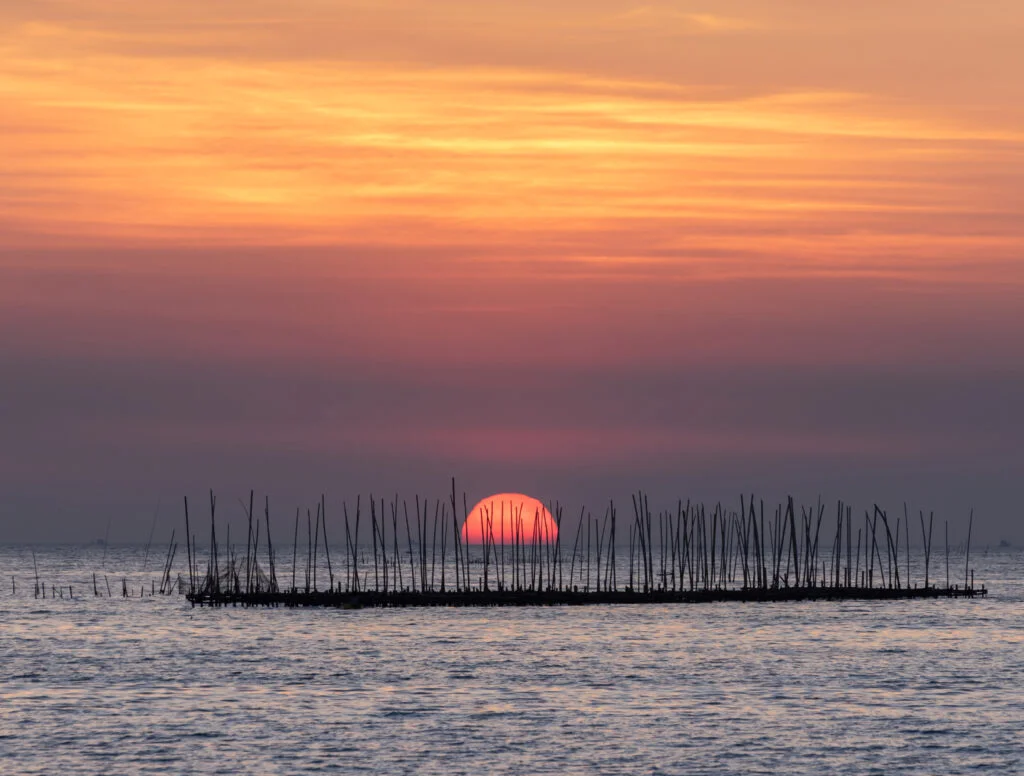 The Asian solar market values collective efforts over individual ambitions.